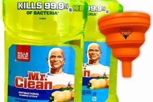 Mr. Clean, All Purpose Cleaner,