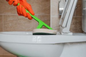 toilet cleaning bowl